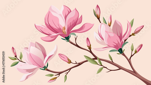 Vector art of beautiful magnolia branch with pink flowers and buds, a watercolor illustration on a light pink background, a delicate floral design element
