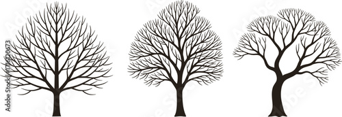 Leafless Tree Silhouette Vector Set Featuring Symmetrical, Rounded, and Irregular Branch Structures for Nature, Botany, Art, and Design Use