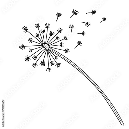 dandelion time on white background. The wind inflates a dandelion. dandelion Icon. hand drawn. Vector Illustration
