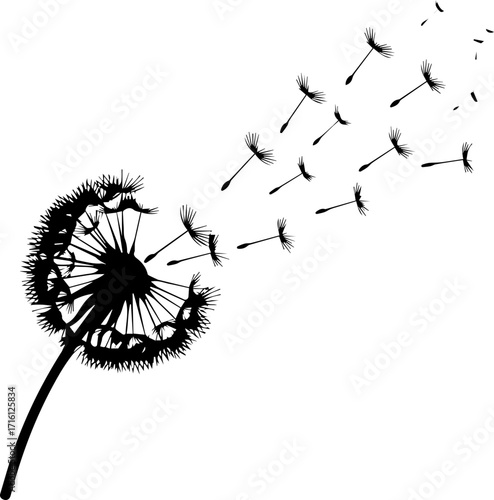 Delicate dandelion seeds gracefully blowing in wind, symbolizing hope and new beginnings