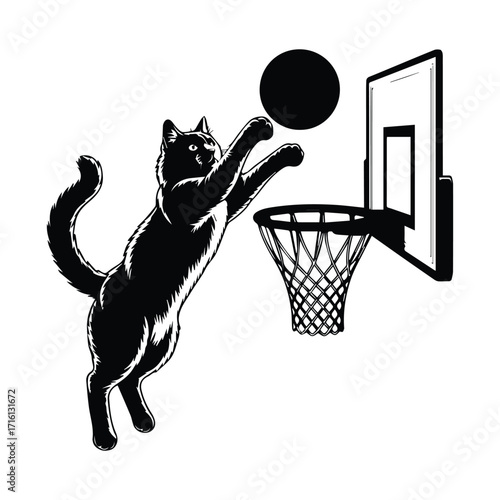Black cat in mid air playing basketball and dunking silhouette