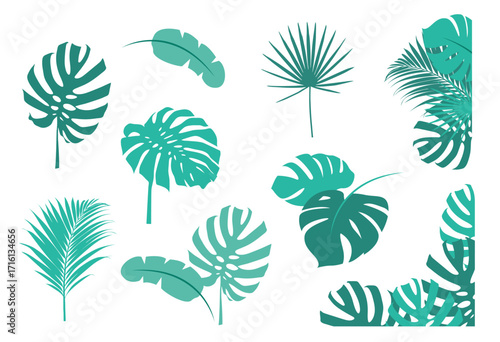 Monstera and Tropical Leaves Element Collection. Green tropical leaves and plants in various shapes and patterns, vector illustration set. Includes monstera, palm, and other exotic leaves