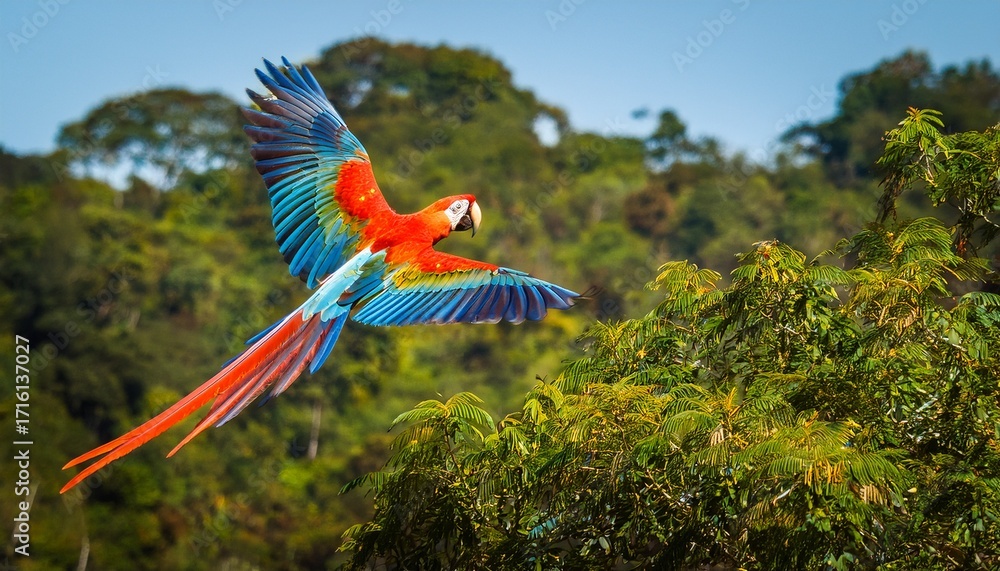 Fototapeta premium breathtaking image of a scarlet macaw soaring above the amazon rainforest generative ai