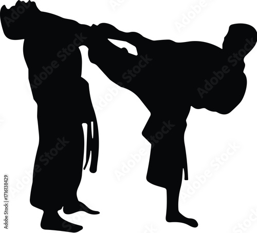 Martial arts training silhouette, two fighters practicing high kick technique, karate discipline, combat sports exercise, self defense, fitness, strength, discipline, black belt practice