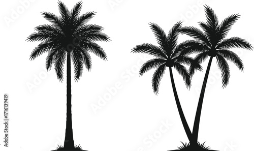 Palm tree silhouette set with tropical vegetation, black vector illustration, nature concept, botanical design, isolated artwork for seasonal and travel use