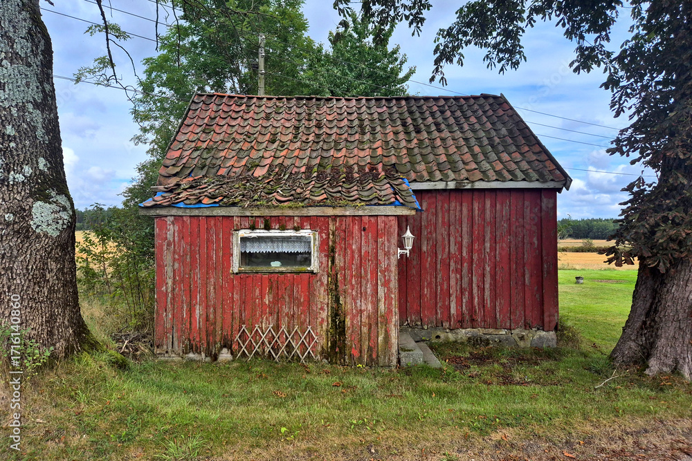 Fototapeta premium Old house