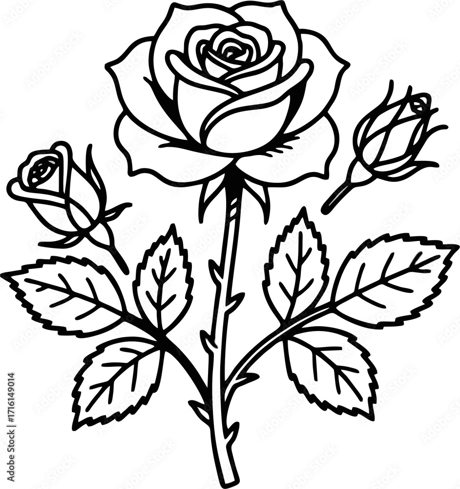 Fototapeta premium A delicate black and white outline illustration of a blooming rose with two rosebuds and accompanying leaves on a stem
