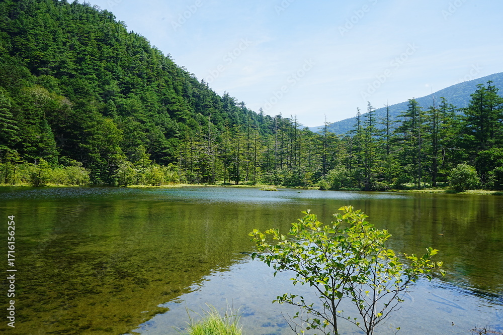 Fototapeta premium Myojin Pond or Myojinike at Kamikochi in Nagano, Japan - 日本 長野 上高地 明神池