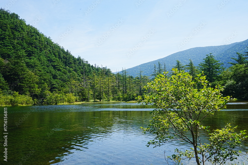 Fototapeta premium Myojin Pond or Myojinike at Kamikochi in Nagano, Japan - 日本 長野 上高地 明神池