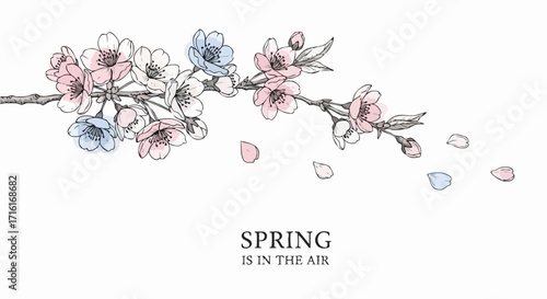 Delicate cherry blossoms bloom gracefully, heralding the arrival of vibrant spring with gentle pastel hues.