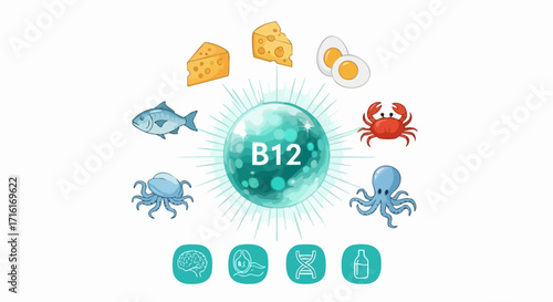 Essential B12 Vitamin sources shown with seafood cheese eggs and brain DNA icons for health