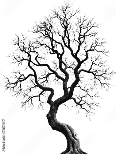 Twisted tree silhouette, leafless branches, nature icon, artistic tree design, black vector illustration, resilient tree shape, forest element, minimal artwork
