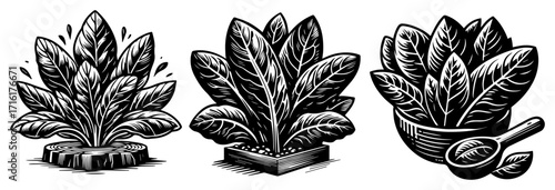 Herbal Leaves and Potted Plant Emblems with Bowl and Scoop black shape vector laser cutting engraving monochrome print
