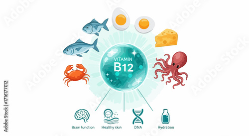 Discover vital Vitamin B12 sources like fish, eggs, cheese, crab, and octopus for brain health and hydration.