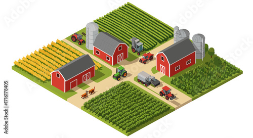 Isometric farm scene vector illustration: agricultural landscape design for print or poster