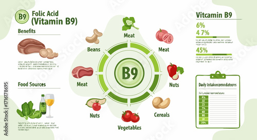Explore vitamin B9 rich foods for a healthy diet and daily intake recommendations for wellness boost