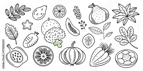 Artistic sketch collection of fresh fruits and vegetables diverse produce variety