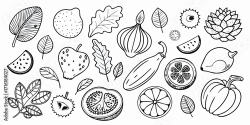 Hand-drawn sketch of assorted fruits and vegetables including strawberries apples lemons and pumpkins