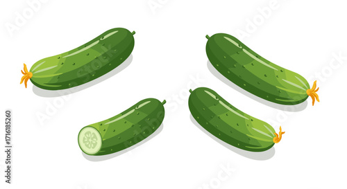 Fresh green cucumbers on white background with sliced view in vibrant colors