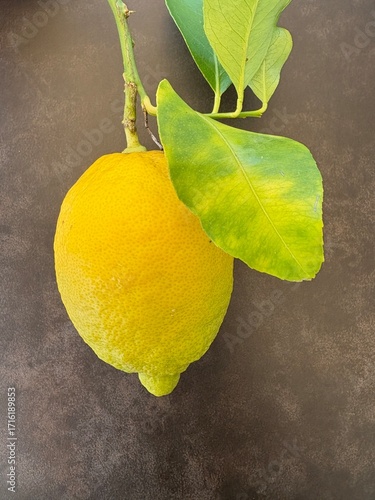 Gelbe Zitrone mit grüben Blatt auf neutralem Hintergrund