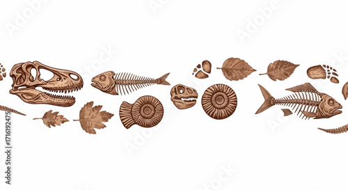 Ancient fossils and dinosaur skulls reveal prehistoric life, perfect for educational and historical projects