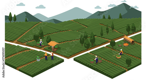 Isometric farming landscape with farmers working in verdant fields