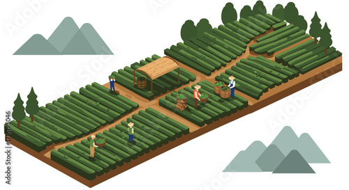 Isometric tea plantation with farmers harvesting leaves in a lush green landscape