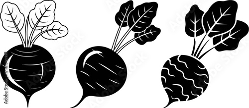 Beetroot Illustration