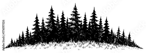 Hand Drawn Pine Forest in a Vintage Engraving Style