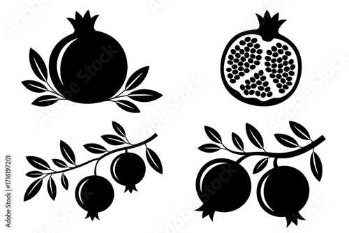 Vector Illustration of Pomegranate Fruit and Branches, a Symbol of Abundance and Fertility