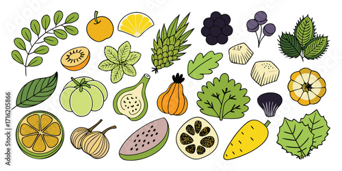 Vibrant assortment of fresh fruits and vegetables hand-drawn style collection