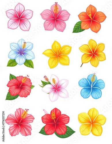 Tropical hibiscus flower illustration with vibrant colors high resolution sticker