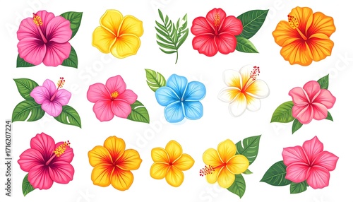 Botanical floral collection with tropical hibiscus design high resolution sticker