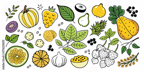 Vibrant assortment of exotic fruits and fresh green leaves botanical drawing