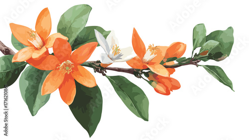 Vibrant Orange Flower Branch Vector with Outline for Design Projects