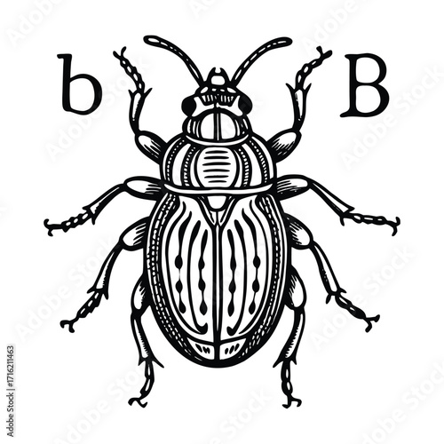 Engraving style illustration of a beetle with cyrillic letters, isolated on white background
