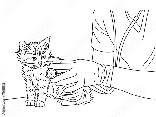 Black line drawing of veterinarian examining and take care of a sick cat because of a bacteria. Pet health care service concept line hand draw design vector illustration
