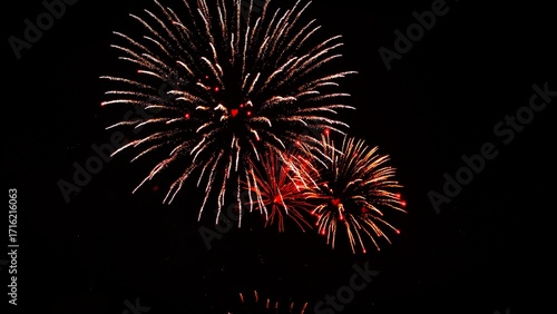 Wallpaper Mural fireworks in the sky Torontodigital.ca