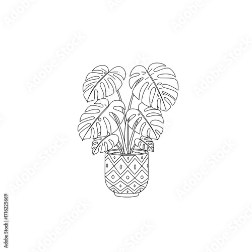 Stunning monstera plant in patterned pot adds modern elegance to any interior design project