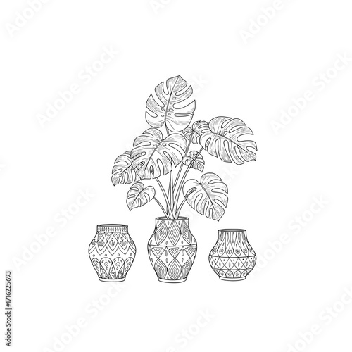 Stunning monstera plant in patterned pot adds modern elegance to any interior design project
