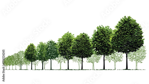 Symmetrical Alignment of Trees with Background Forest