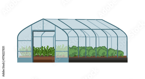 Modern glass greenhouse with vibrant vegetables growing inside