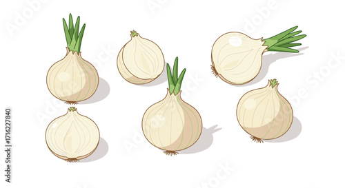 Cartoon style onions with green sprouts on white background
