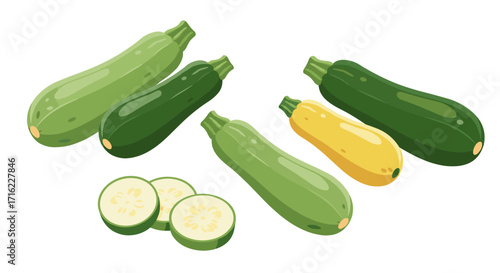 Colorful zucchini and cucumber variations in flat style
