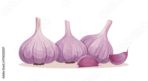 Realistic purple garlic bulbs with cloves on white background