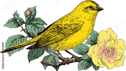 Vibrant Yellow Canary Rose Cartoon Vector Illustration