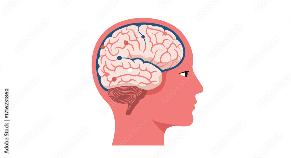 Obraz premium Detailed human brain cutaway in profile with neuron pathways highlighted