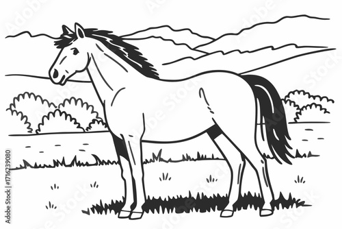 horse and foal