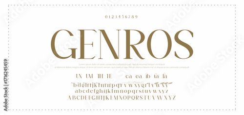 Eegant font alphabet uppercase lowercase and number. Classic lettering minimal fashion designs. Typography modern serif fonts regular decorative vintage concept. Vector illustration