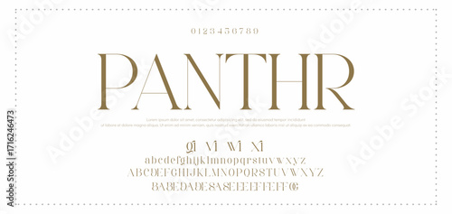 Eegant font alphabet uppercase lowercase and number. Classic lettering minimal fashion designs. Typography modern serif fonts regular decorative vintage concept. Vector illustration
